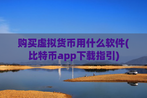 购买虚拟货币用什么软件(比特币app下载指引)