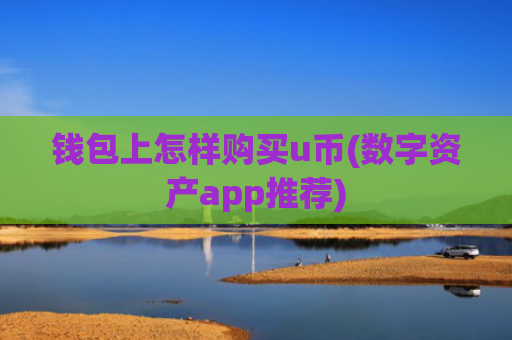钱包上怎样购买u币(数字资产app推荐)
