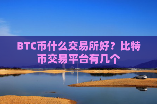 BTC币什么交易所好？比特币交易平台有几个