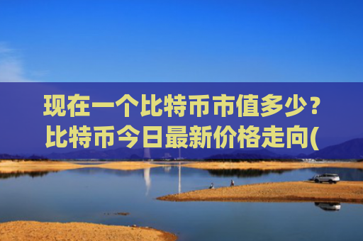 现在一个比特币市值多少？比特币今日最新价格走向(现价730931.08元)