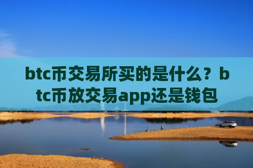 btc币交易所买的是什么？btc币放交易app还是钱包
