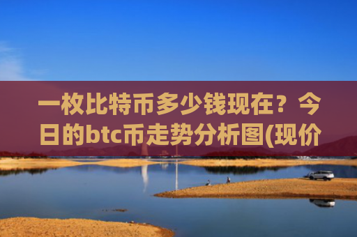 一枚比特币多少钱现在？今日的btc币走势分析图(现价731508.12元)