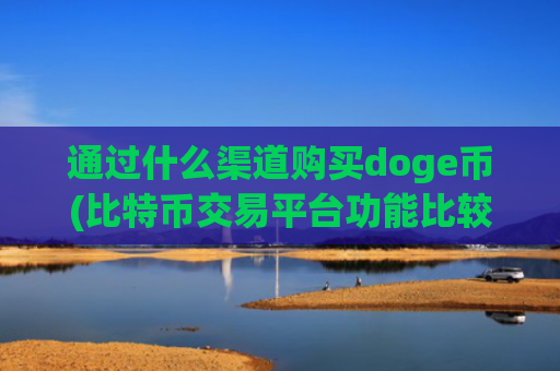 通过什么渠道购买doge币(比特币交易平台功能比较)