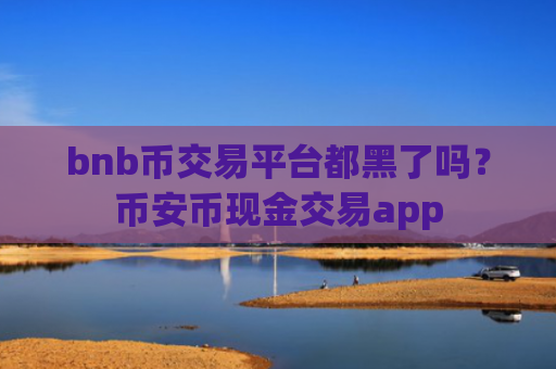 bnb币交易平台都黑了吗？币安币现金交易app