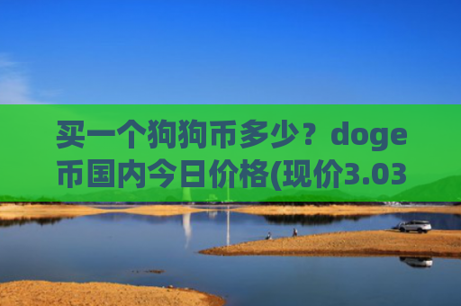 买一个狗狗币多少？doge币国内今日价格(现价3.0326元)