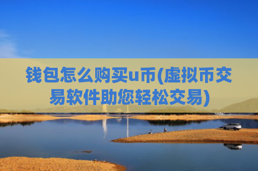 钱包怎么购买u币(虚拟币交易软件助您轻松交易)