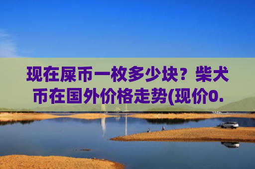 现在屎币一枚多少块?柴犬币在国外价格走势(现价0.00020936元)