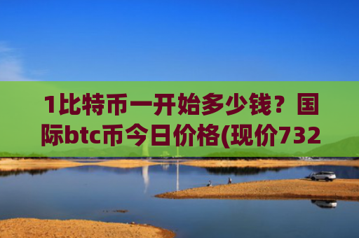 1比特币一开始多少钱？国际btc币今日价格(现价732247.82元)