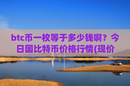 btc币一枚等于多少钱啊？今日国比特币价格行情(现价731406.33元)
