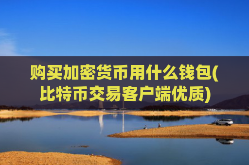 购买加密货币用什么钱包(比特币交易客户端优质)