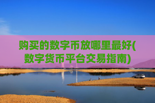 购买的数字币放哪里最好(数字货币平台交易指南)