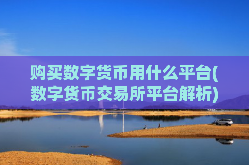 购买数字货币用什么平台(数字货币交易所平台解析)