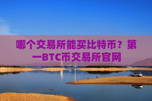 哪个交易所能买比特币？第一BTC币交易所官网