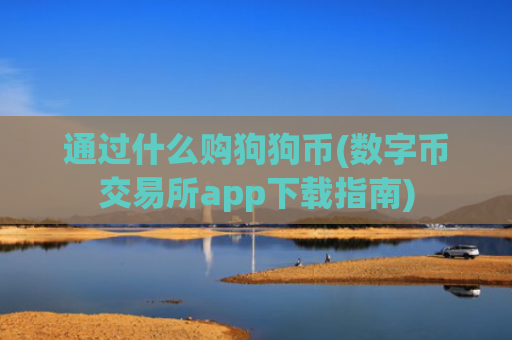 通过什么购狗狗币(数字币交易所app下载指南)