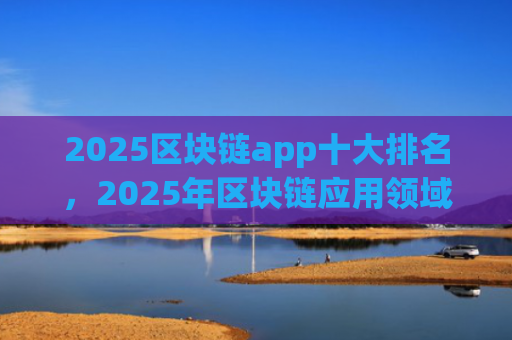 2025区块链app十大排名，2025年区块链应用领域佼佼者