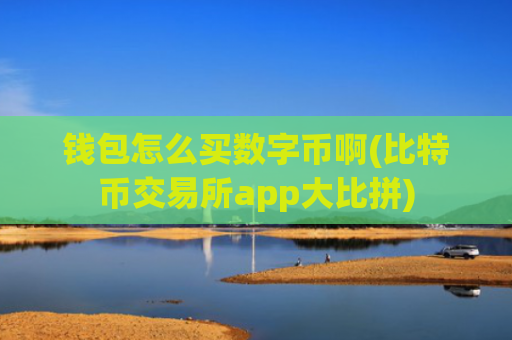 钱包怎么买数字币啊(比特币交易所app大比拼)
