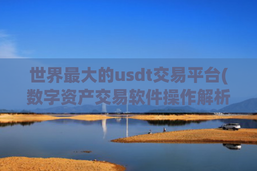 世界最大的usdt交易平台(数字资产交易软件操作解析)