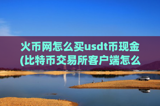 火币网怎么买usdt币现金(比特币交易所客户端怎么选)