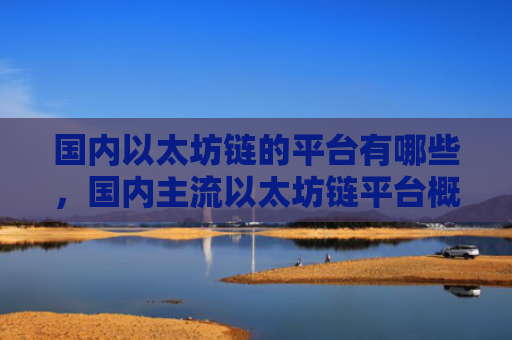 国内以太坊链的平台有哪些,国内主流以太坊链平台概览