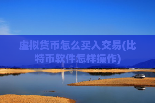 虚拟货币怎么买入交易(比特币软件怎样操作)