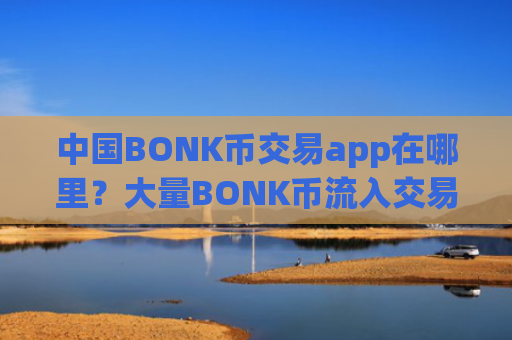 中国BONK币交易app在哪里？大量BONK币流入交易所