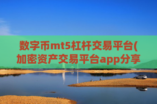 数字币mt5杠杆交易平台(加密资产交易平台app分享)