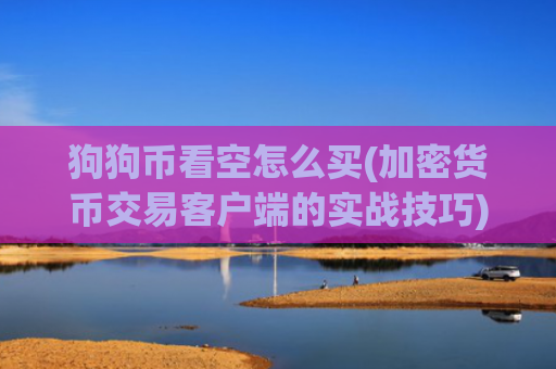 狗狗币看空怎么买(加密货币交易客户端的实战技巧)