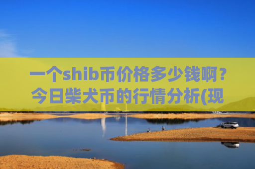 一个shib币价格多少钱啊？今日柴犬币的行情分析(现价0.00022998元)