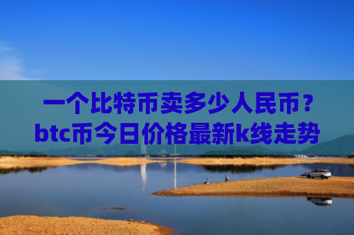 一个比特币卖多少人民币？btc币今日价格最新k线走势图表(现价728219.71元)