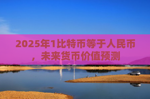 2025年1比特币等于人民币，未来货币价值预测