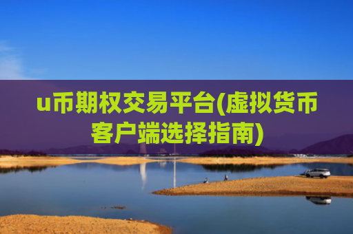 u币期权交易平台(虚拟货币客户端选择指南)