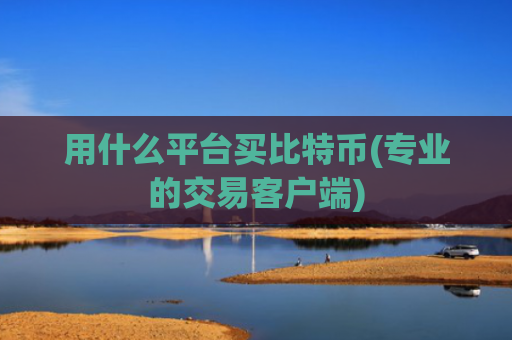 用什么平台买比特币(专业的交易客户端)