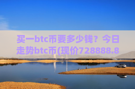 买一btc币要多少钱？今日走势btc币(现价728888.81元)