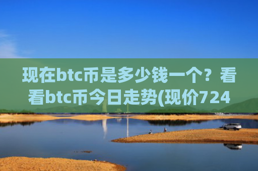 现在btc币是多少钱一个？看看btc币今日走势(现价724380.6元)