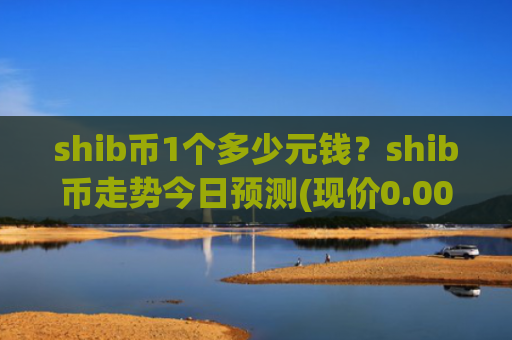 shib币1个多少元钱？shib币走势今日预测(现价0.00023355元)