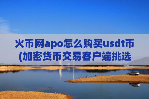 火币网apo怎么购买usdt币(加密货币交易客户端挑选)