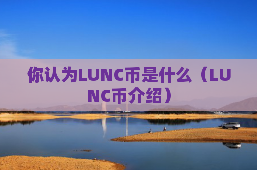 你认为LUNC币是什么（LUNC币介绍）