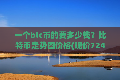一个btc币的要多少钱？比特币走势图价格(现价724470.87元)