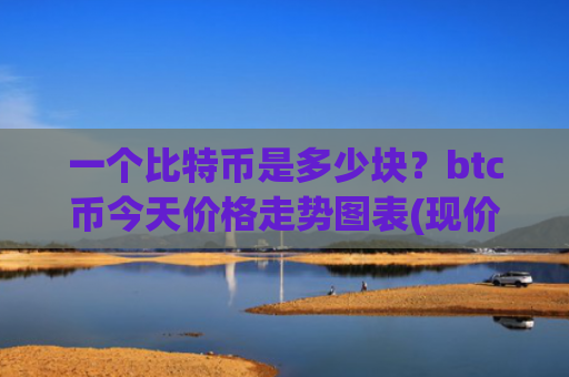 一个比特币是多少块？btc币今天价格走势图表(现价729356.66元)
