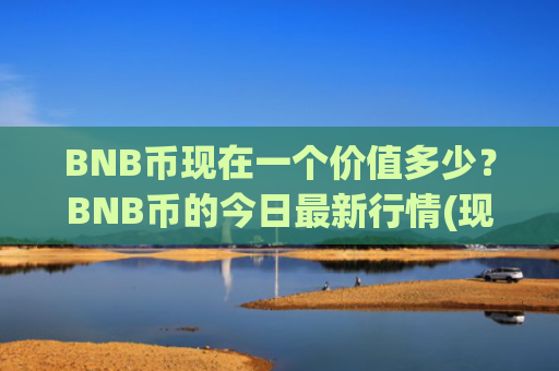 BNB币现在一个价值多少？BNB币的今日最新行情(现价5393.15元)