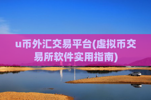 u币外汇交易平台(虚拟币交易所软件实用指南)