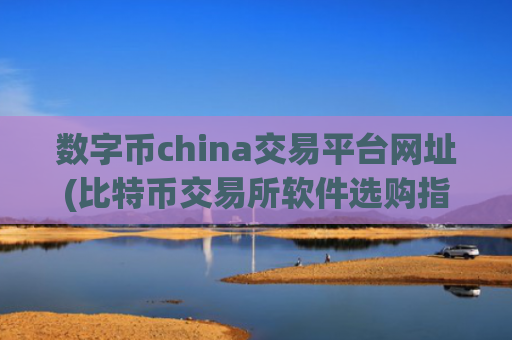数字币china交易平台网址(比特币交易所软件选购指南)