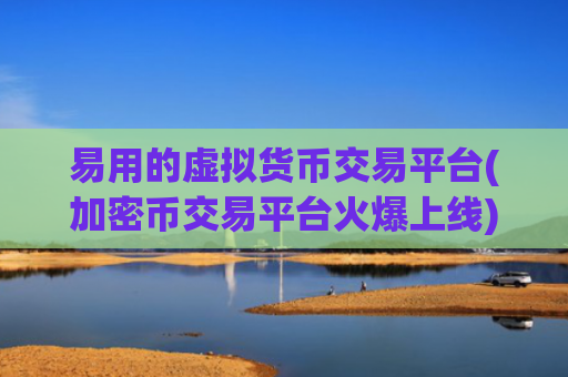 易用的虚拟货币交易平台(加密币交易平台火爆上线)