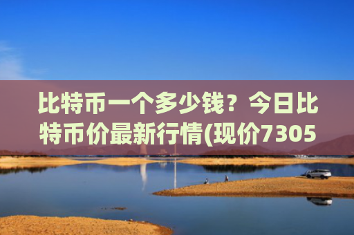 比特币一个多少钱？今日比特币价最新行情(现价730559.42元)