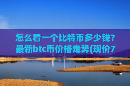 怎么看一个比特币多少钱？最新btc币价格走势(现价730966.87元)