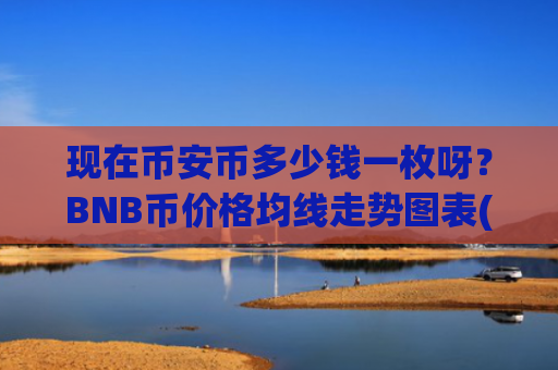 现在币安币多少钱一枚呀？BNB币价格均线走势图表(现价5383.19元)