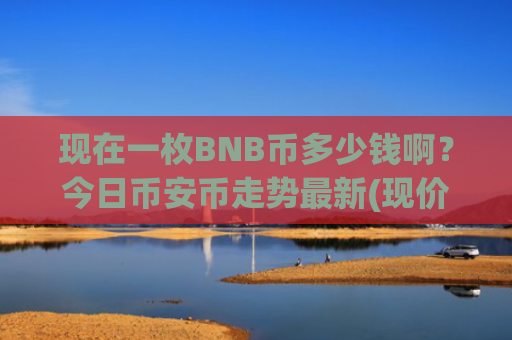 现在一枚BNB币多少钱啊？今日币安币走势最新(现价5385.22元)