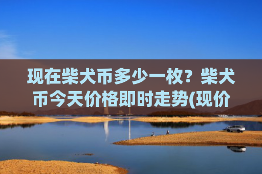 现在柴犬币多少一枚？柴犬币今天价格即时走势(现价0.00023129元)