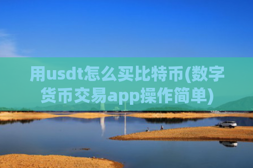 用usdt怎么买比特币(数字货币交易app操作简单)
