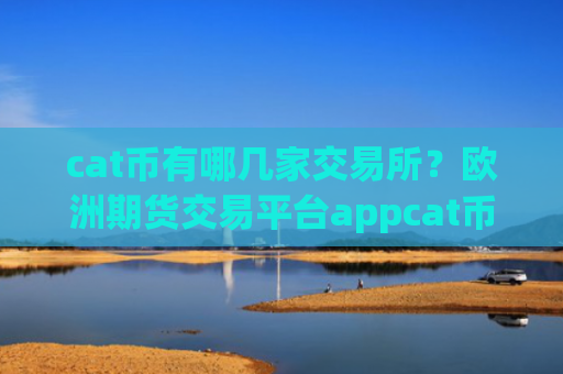 cat币有哪几家交易所？欧洲期货交易平台appcat币
